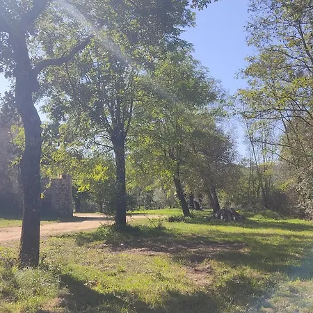 Des Muriers En Cevennes Gardoises Gagnières
