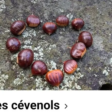 Des Muriers En Cevennes Gardoises 度假居 Gagnières