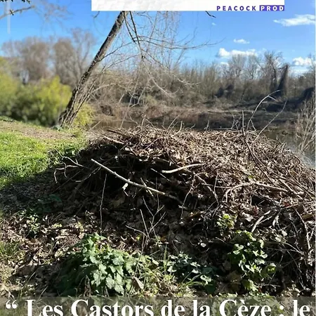 Des Muriers En Cevennes Gardoises Feriehus Gagnières