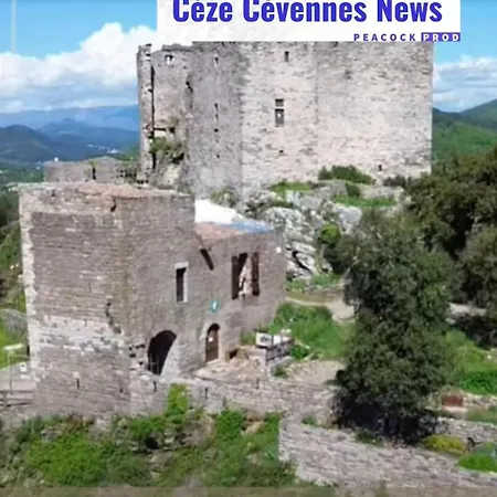 Des Muriers En Cevennes Gardoises * Gagnières
