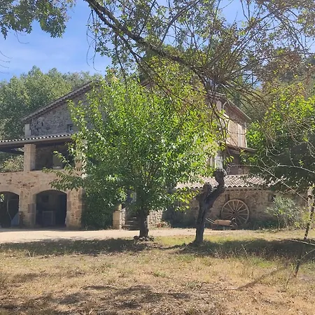 Des Muriers En Cevennes Gardoises *